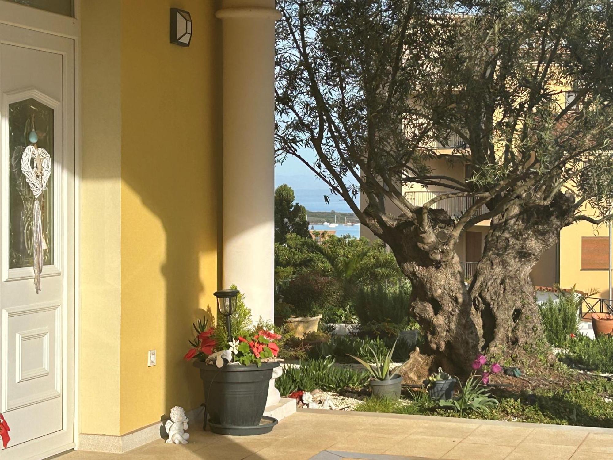 Villa Istriana Liznjan Ngoại thất bức ảnh